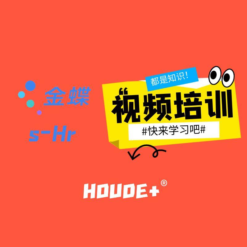 金蝶HR报表开发